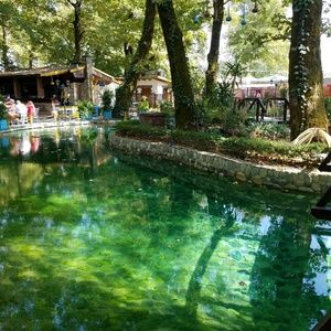 Meet your Posher, Arba