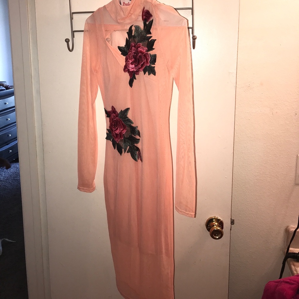 Rose 🌹 mesh dress