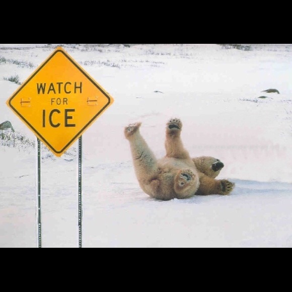 UGG Cable Knit Over The Knee Socks Thigh High Boot Christmas Winter Discontinued - Picture 8 of 8