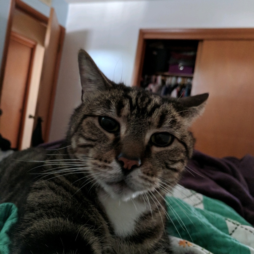 Meet your Posher, Chelsea