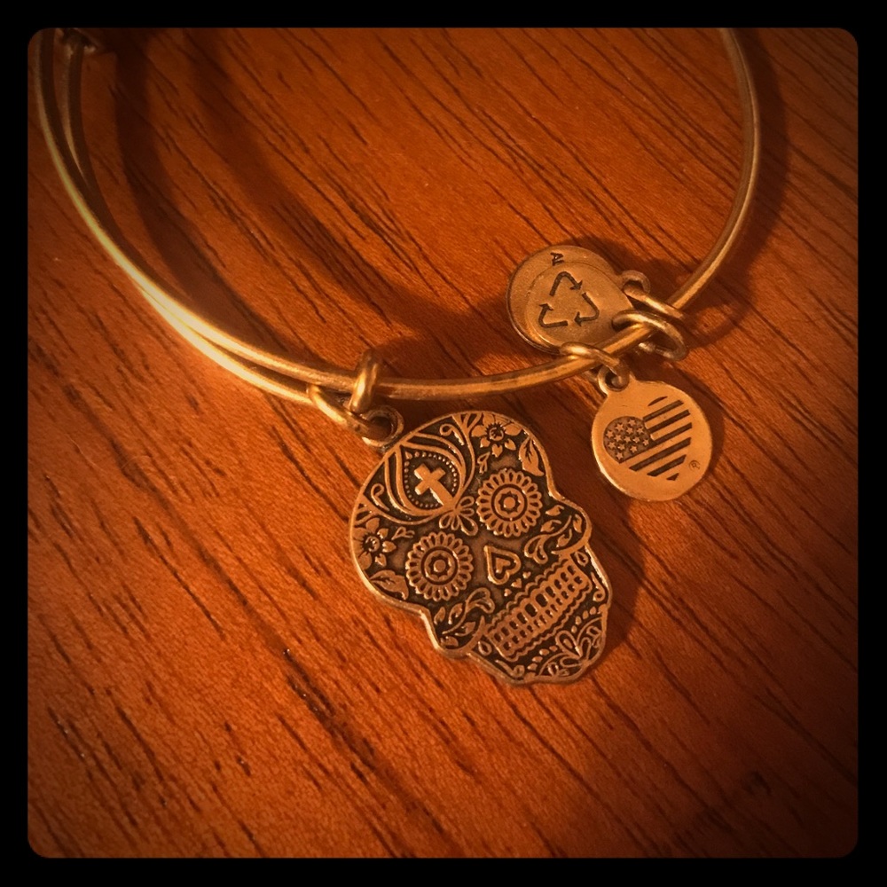 Retired Alex and Ani Calavera Bangle Bracelet