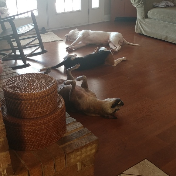 Welcome to my closet 🌹🌿 - Picture 8 of 11