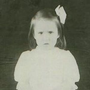 Meet your Posher, Bobbie