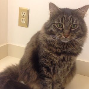 Meet your Posher, Meredyth