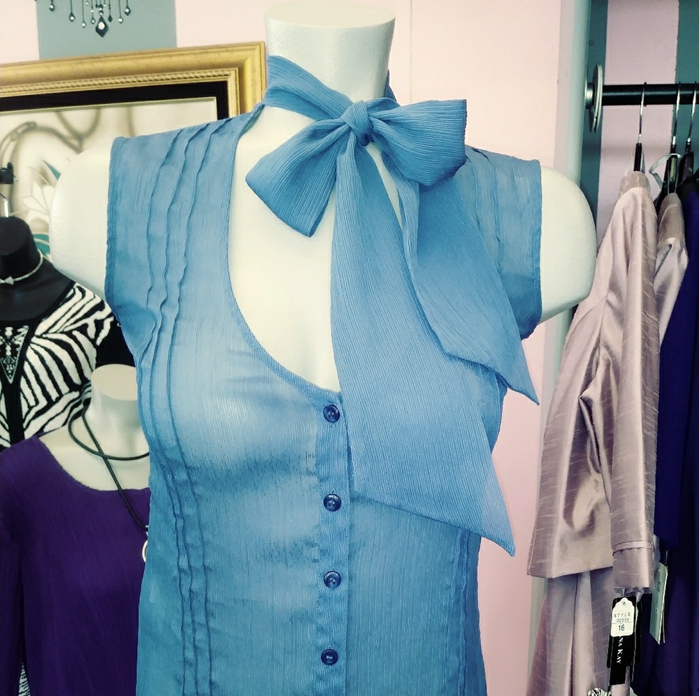Designer blouse