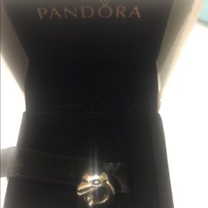 Pandora Dolphin Charm