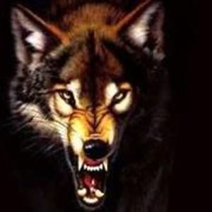 Meet your Posher, Xander