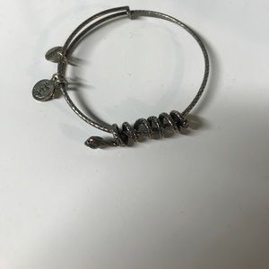 Rare Alex and ani - special edition