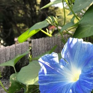 Meet your Posher, Shari