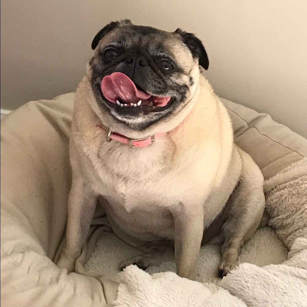 Meet your Posher, Jen