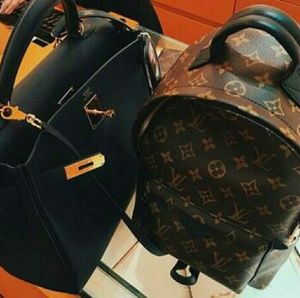 Louis Vuitton Palm Springs Back pack