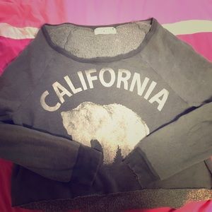 Gray California Sweater Crop Top w/ fleeced inside