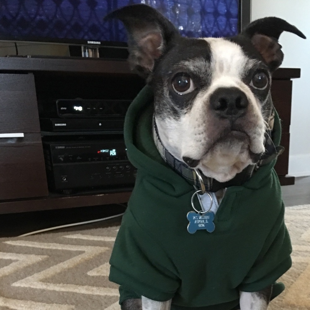 Meet your Posher, Sarah