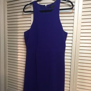 J Crew Purple lines dress