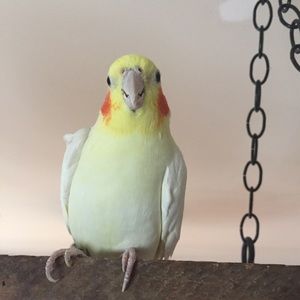 Meet your Posher, Kathleen