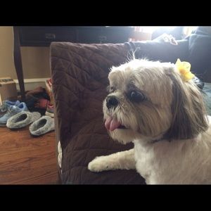 Meet your Posher, Margaret