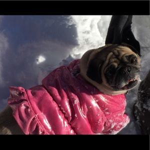 Meet your Posher, Layla