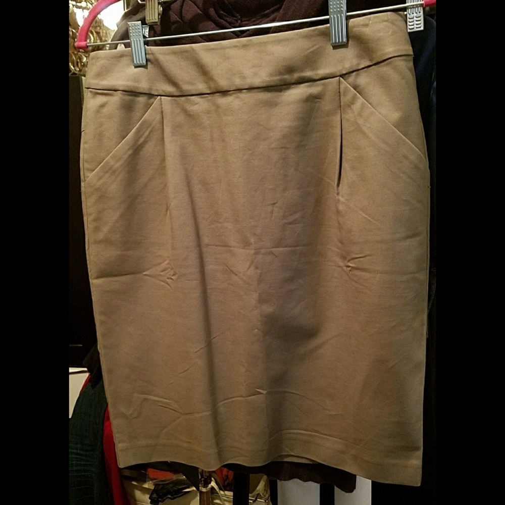 Brand New Ann Taylor pencil straight Skirt work