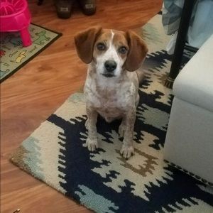 Meet your Posher, Deborah