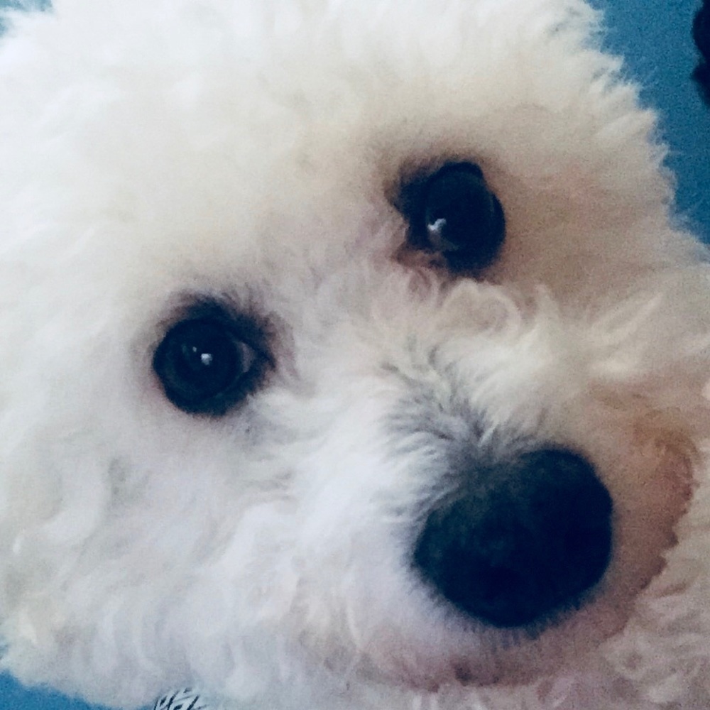 Meet your Posher, Kate