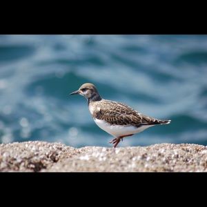 Meet your Posher, Jack