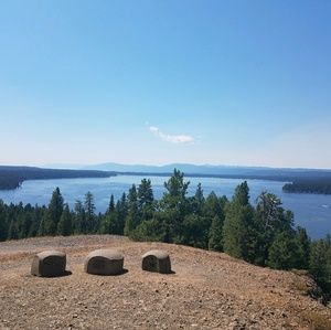 Meet your Posher, Iris