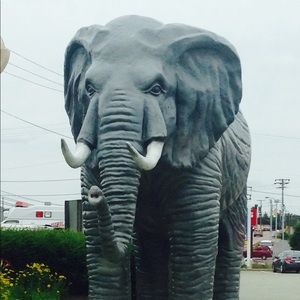 Meet your Posher, Amparo