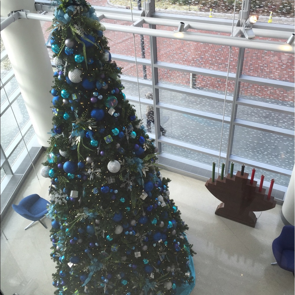 Meet your Posher, Evelyn