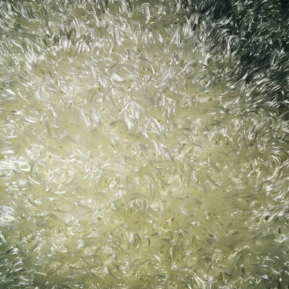 🤍 Plush Winter Scarf #hundredsofscarves - Picture 4 of 4