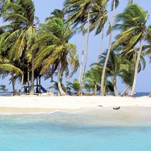 Meet your Posher, Huyen