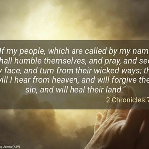 Meet your Posher, Tamara