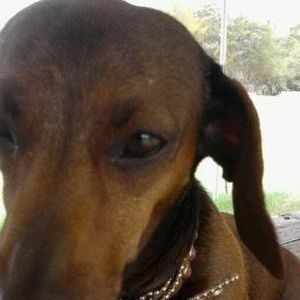 Meet your Posher, Karlene