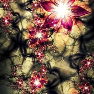 Meet your Posher, Alicia