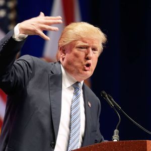 Meet your Posher, Austin