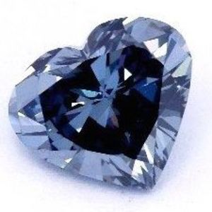 Meet your Posher, Rosa