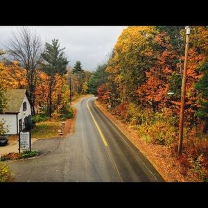 Meet your Posher, Vivian