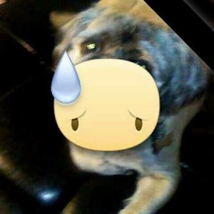 Meet your Posher, Margaret