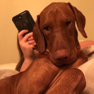 Meet your Posher, Dalton