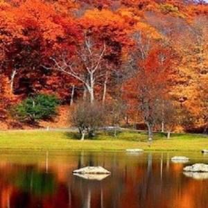 Meet your Posher, Rachelle