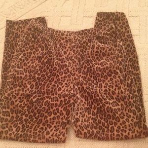 Velvet Dana Bushman pants