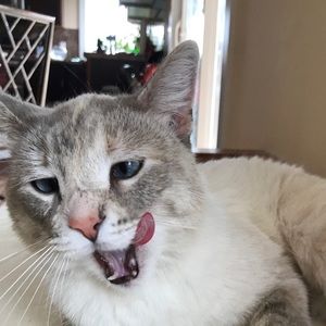 Meet your Posher, Chloe