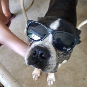 Meet your Posher, Shanda