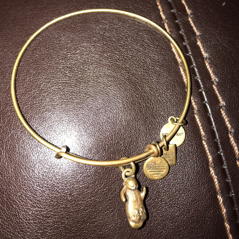Never worn Alex and ani
