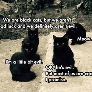 Meet your Posher, Tracy may