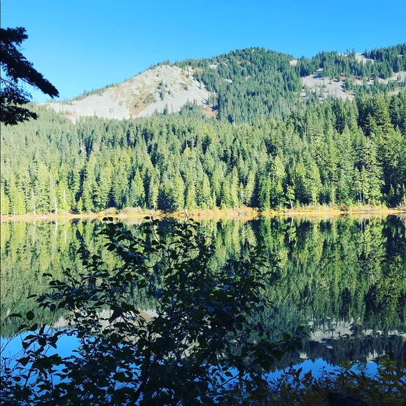 Meet your Posher, Hailey - Picture 1 of 1