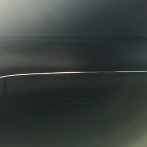 Meet your Posher, Molly