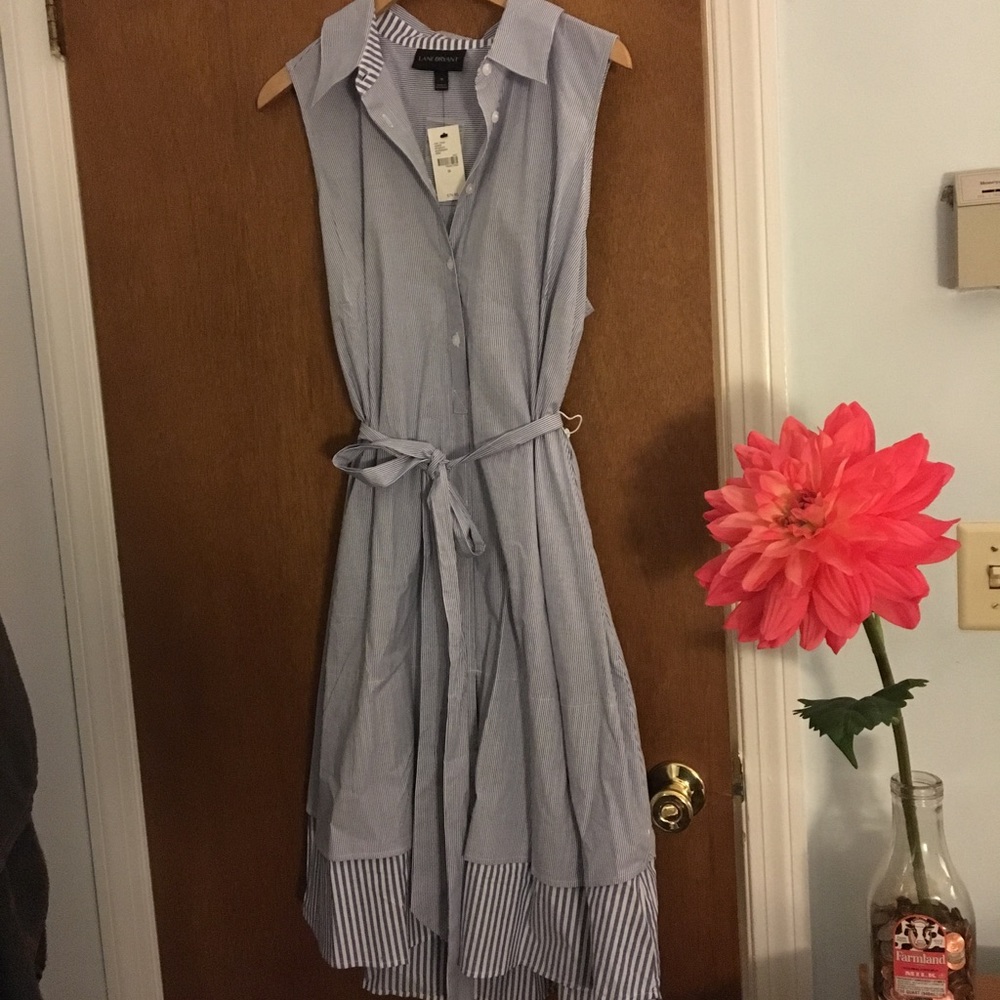 Lane Bryant Summer Dress