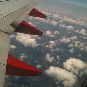 Meet your Posher, Bryce