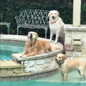 Meet your Posher, Laurie