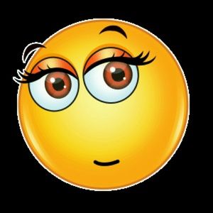 Meet your Posher, Anne